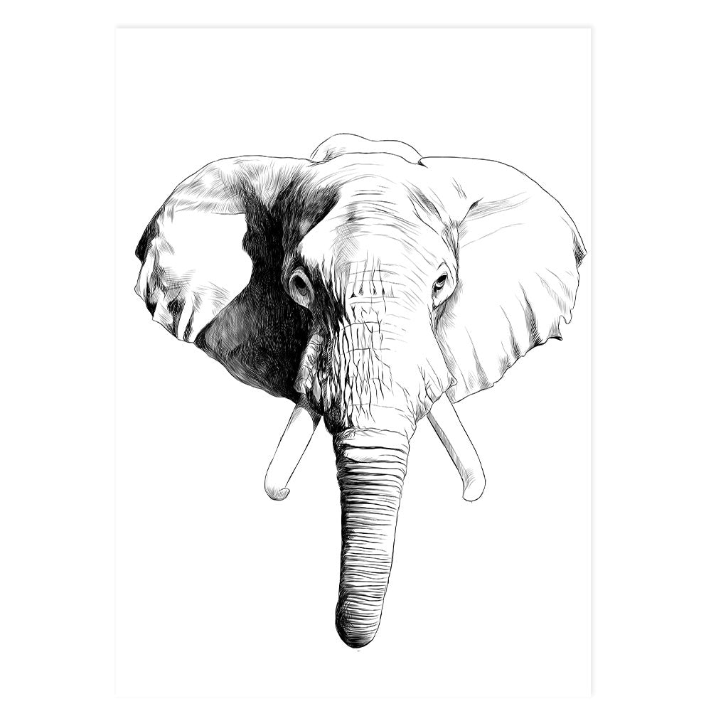 Elephant - Black & White